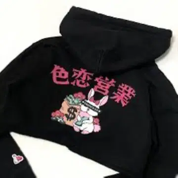 FR2 매실 색연 영업 후드티