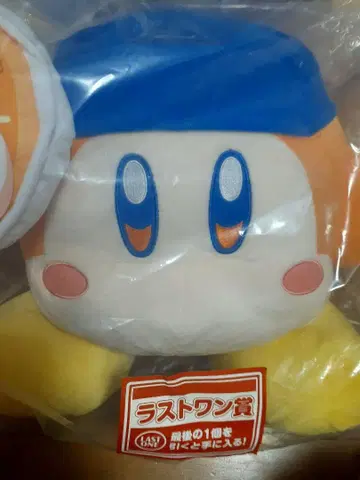 와돌디