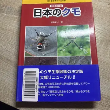 일본의 거미