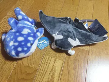 츄라우미 수족관 봉제 인형 세트