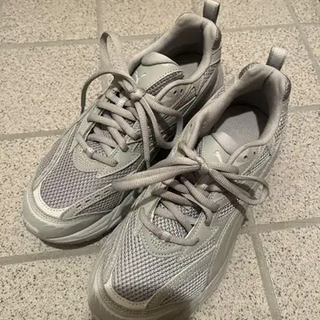 Puma 그레이 메쉬 스니커즈