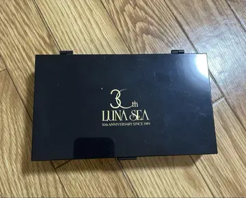 LUNA SEA 은색 테이프 케이스