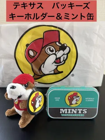 [ Buc-ee's ] 버키즈 봉제 인형 키링 & 태블릿 캔 그린