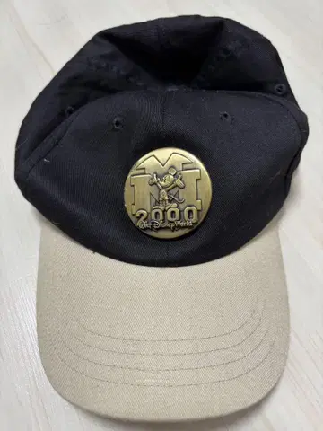 Walt Disney World 2000년 기념 캡