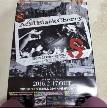 Acid Black Cherry 2015 라이브 투어 S 포스터