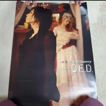 Acid Black Cherry Q.E.D. 포스터 그 1