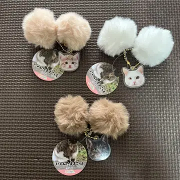 냥타마 스코트 브라운 시로 베이지 화이트 키지토라