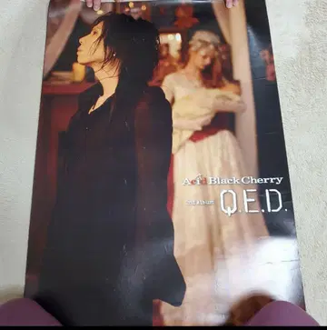 Aci Black Cherry Q.E.D. 앨범 포스터 그 2
