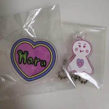 NEXZ 넥스지 사웨 하이 아크릴 클립 아크릴 키링 하루 haru