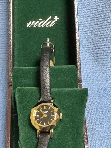 vida+ 쿼츠 손목시계 블랙 다이얼