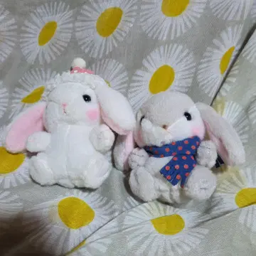 포테우사 x 2