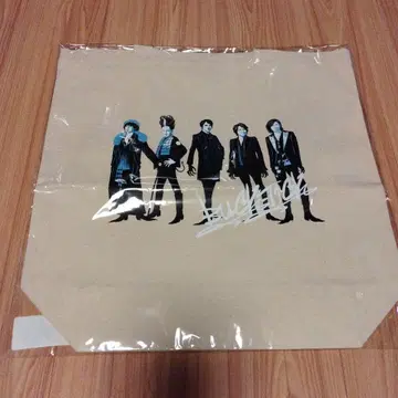 BUCK-TICK x 카네코 아츠시 토트백 빌리지 반가드