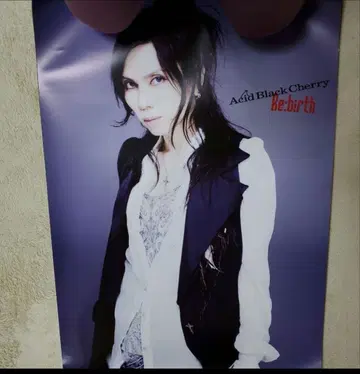 Acid Black Cherry Re:birth 포스터 그 1