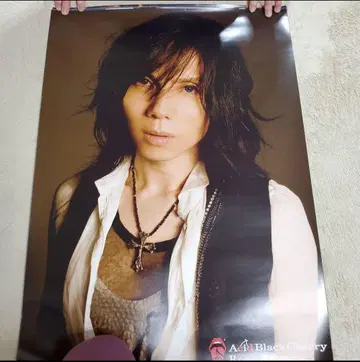 Acid Black Cherry Recreation2 특전 포스터