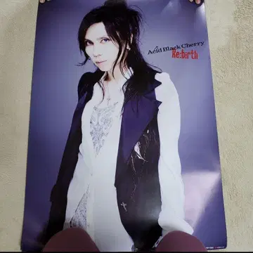 Acid Black Cherry Re:birth 포스터 그 2