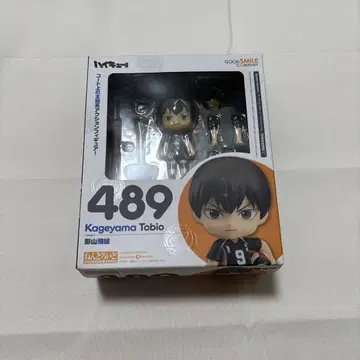 넨도로이드 489 카게야마 토비오