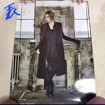 Acid Black Cherry L 양면 포스터 그 1