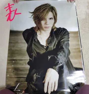 Acid Black Cherry L 양면 포스터 그 2