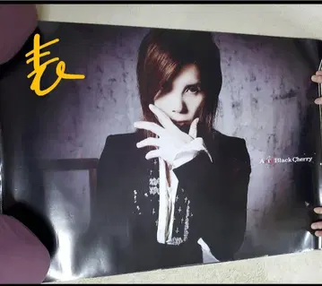 Acid Black Cherry FREE LIVE 2011 양면 포스터