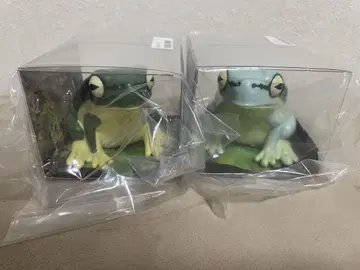소프트 비닐 청개구리 2체 세트