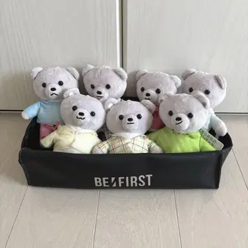 비퍼스트 곰 세트