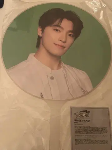SEVENTEEN FOLLOW TO JAPAN 디노 부채