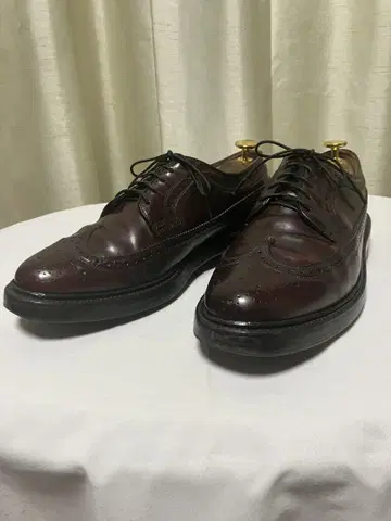 플로샤임 코도반