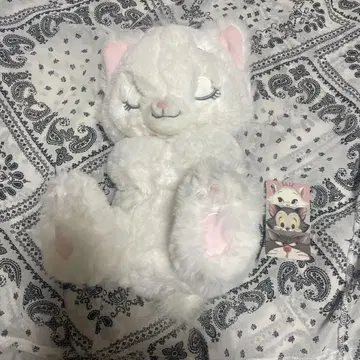 마리 이야기 마리 웅크린 봉제 인형