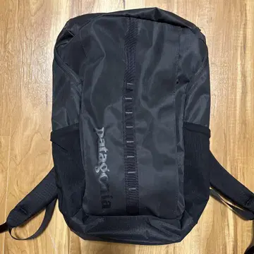 patagonia 블랙 백팩 25L