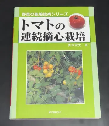 토마토 연속 적심 재배
