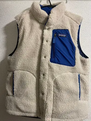 Patagonia 비비 다운 베스트 리버서블