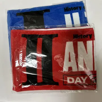 SPYAIR Just Like This 2025 Day 1, 2 타월