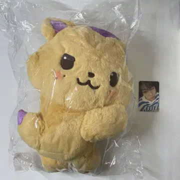 NCT WISH 시온 시오닌 봉제 인형 백