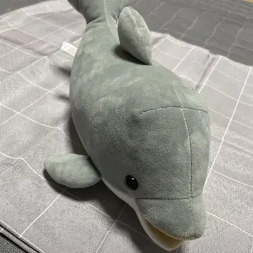 그레이 돌고래 봉제 인형