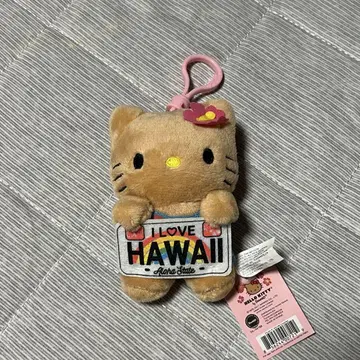 일광화상 키티 키링 하와이 한정판