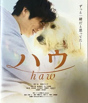 하우 Blu-ray 다나카 케이 이케다 에라이자