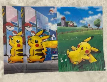 포켓몬 A4 클리어 파일 피카츄 뒤돌아보기 낮잠츄 삿포로 오사카