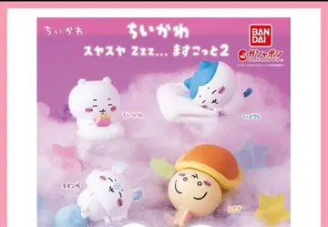 컴프 세트