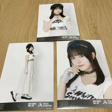 ACE WHITE SCORPION 사진 세트 VOL.02 한정판 연격