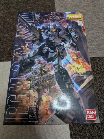 MG 1/100 RGM-96X 제스타 건담 프라모델 마스터 그레이드