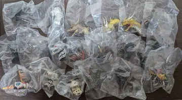 제일복권 고질라 몬스터 헤드 마그넷 세트