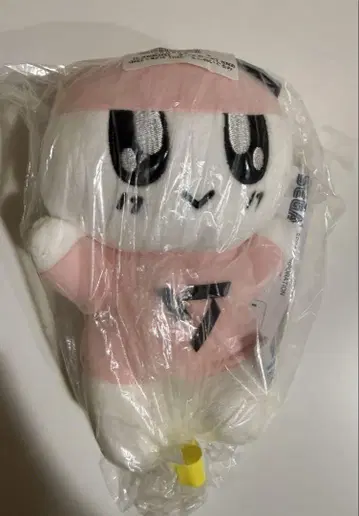 seventeen 봉봉이 뮤직 타이거 봉제 인형 세트