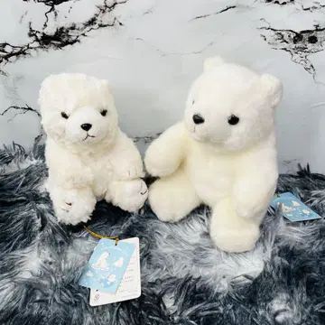 아사히야마 동물원 시로쿠마 봉제 인형 2세트 택 포함