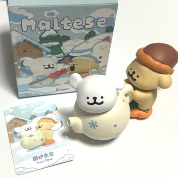 maltese 말티즈 몰티즈 한국 티타임