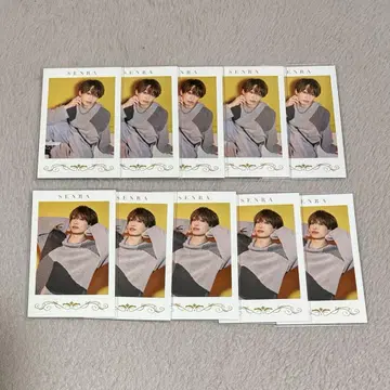 센라 포토 카드 폴라로이드