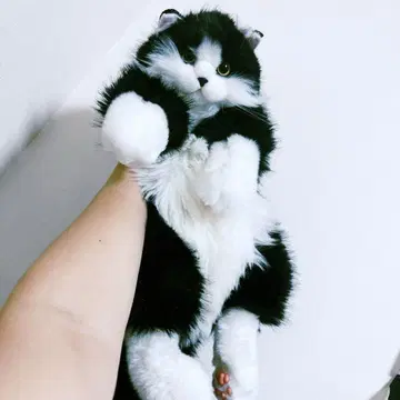 고양이 백팩 부속품 포함