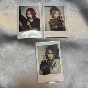 Royz 폴라로이드 스바루 코다이 1