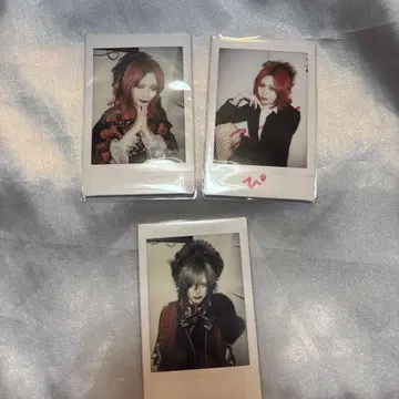 Royz 폴라로이드   3