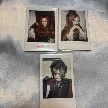 Royz 폴라로이드   4