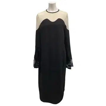 River Lace Sleeve I-Line Dress